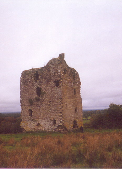 photo: Ferrel tower castle near Longford, ireland.